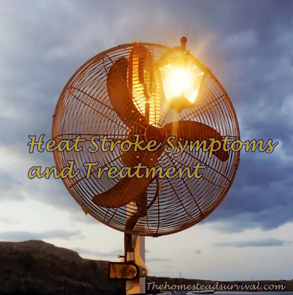 Heat Stroke Symptoms and Treatment