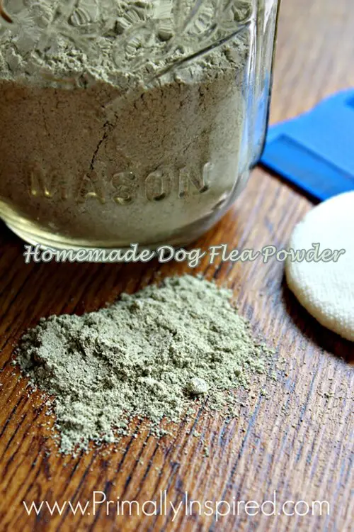 Homemade Dog Flea Powder
