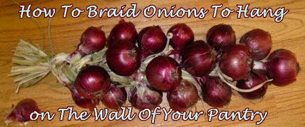 How To Braid Onions To Hang on The Wall Of Your Pantry