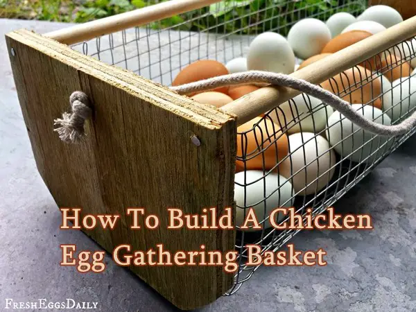 How To Build A Chicken Egg Gathering Basket
