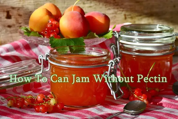 How To Can Jam Without Pectin