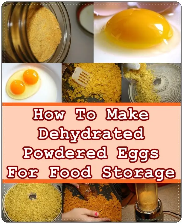 How To Make Dehydrated Powdered Eggs For Food Storage