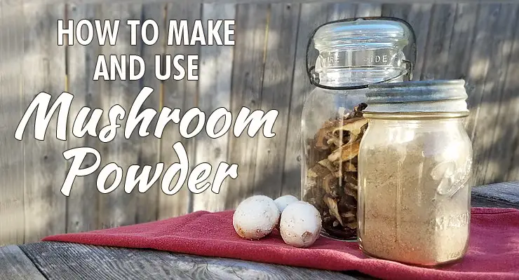 Mushroom Powder Making And Using It