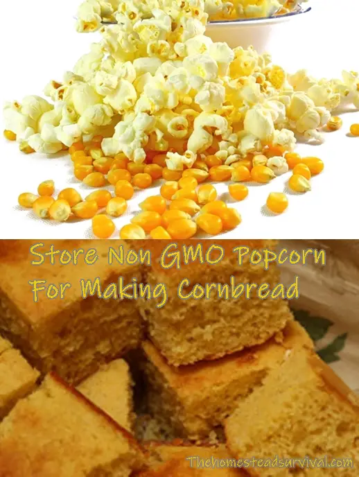 Store Non GMO Popcorn For Making Cornbread