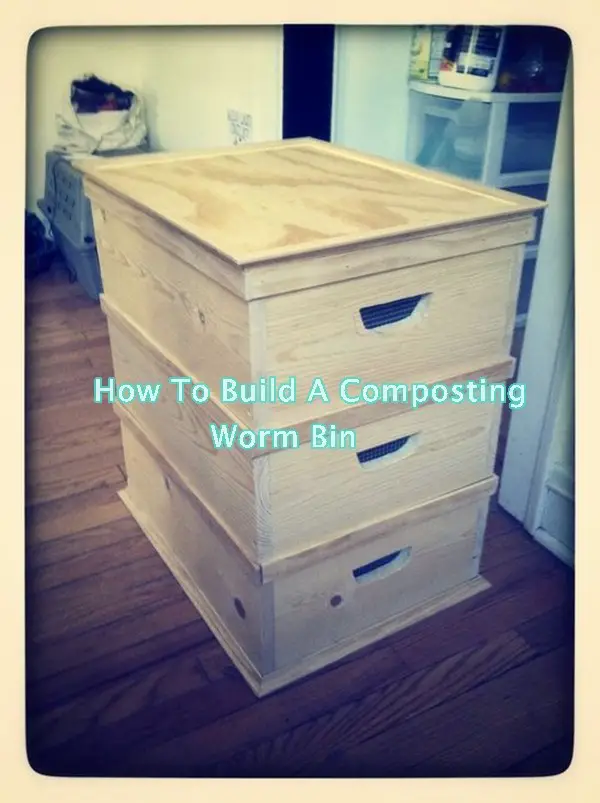 How To Build A Composting Worm Bin