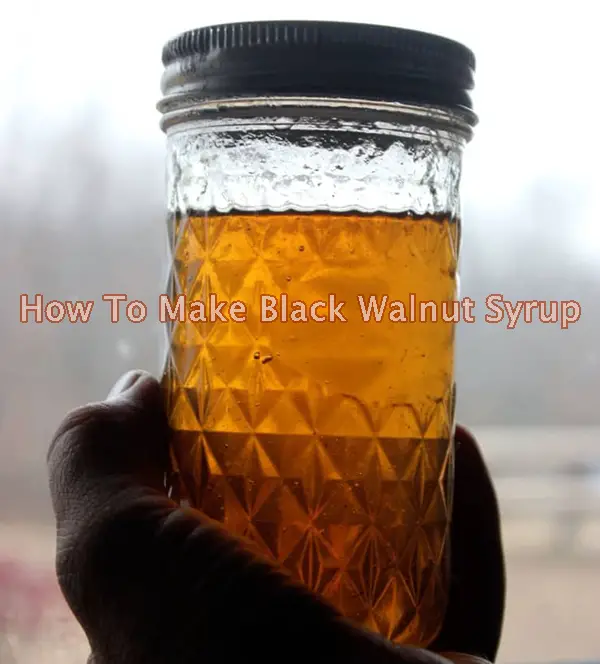 How To Make Black Walnut Syrup
