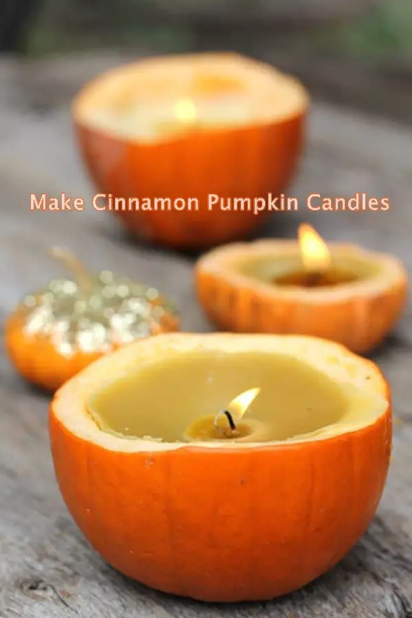 Make Cinnamon Pumpkin Candles