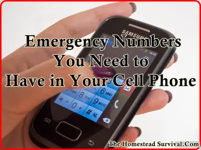 Emergency Numbers You Need to Have in Your Cell Phone