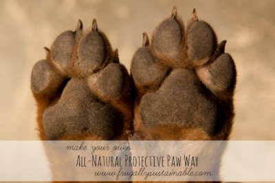 Make A Protective Paw Wax For Your Pets