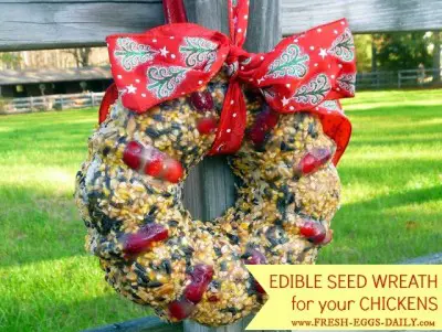 Homemade Sunflower Nut Treat Wreath for Hungry Chickens