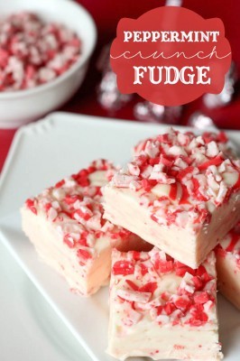 Peppermint Crunch Fudge By lilluna.com