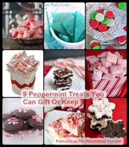 9 Peppermint Treats You Can Gift Or Keep - The Homestead Survival