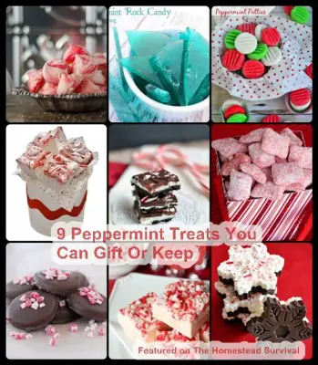 9 Peppermint Treats You Can Gift Or Keep