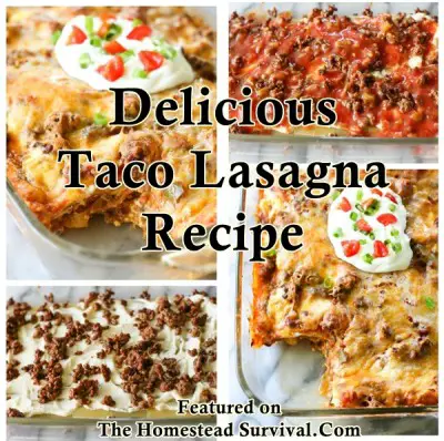 Delicious Taco Lasagna