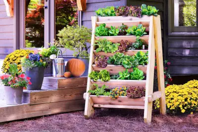 How to Build a Vertical Lettuce Planter