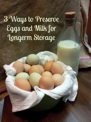 3 Ways to Preserve Eggs and Milk for Long Term Food Storage
