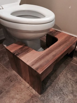 Build a Child Step Stool for the Toilet from Wood Pallets
