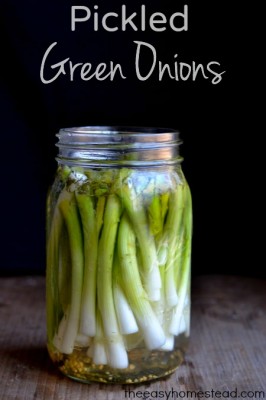Pickled Green Onions