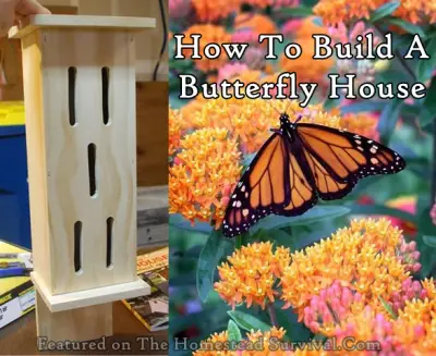 How To Build A Butterfly House