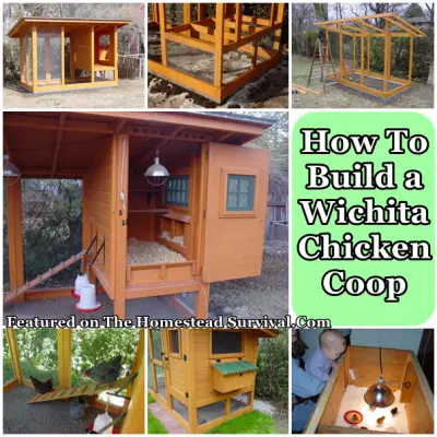 How To Build a Wichita Chicken Coop