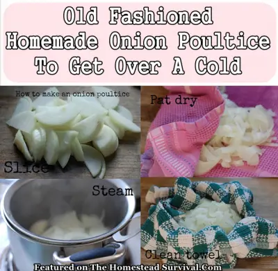 Old Fashioned Homemade Onion Poultice To Get Over A Cold