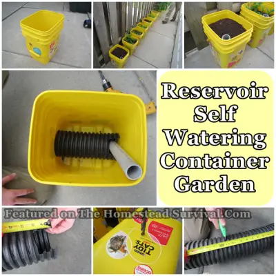 Reservoir Self Watering Container Garden
