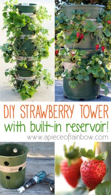 How To Build A Frugal Strawberry Tower With A Water Reservoir