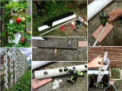 Build a PVC Tube Vertical Strawberry Planter