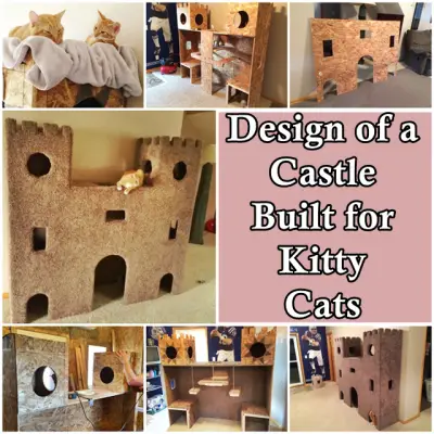 Design of a Castle Built for Kitty Cats