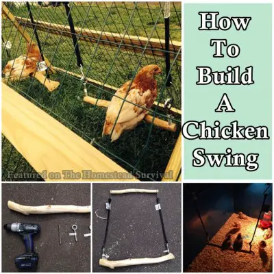 How To Build A Chicken Swing