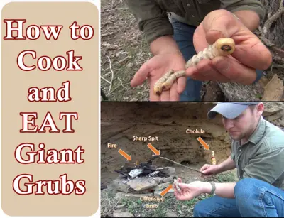 How to Cook and EAT Giant Grubs