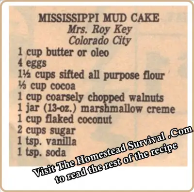 Mississippi Mud Cake Vintage Recipe