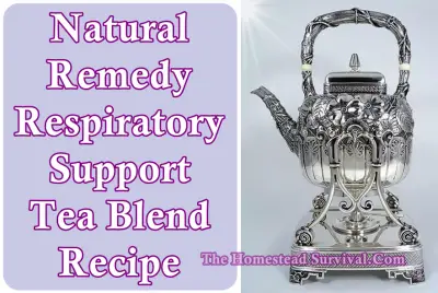 Natural Remedy Respiratory Support Tea Blend