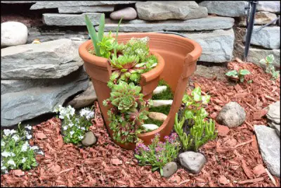 Recusing Broken Clay Pots and Replanting with a Succulent Twist