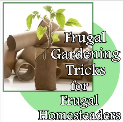 Frugal Gardening Tricks For Frugal Homesteaders