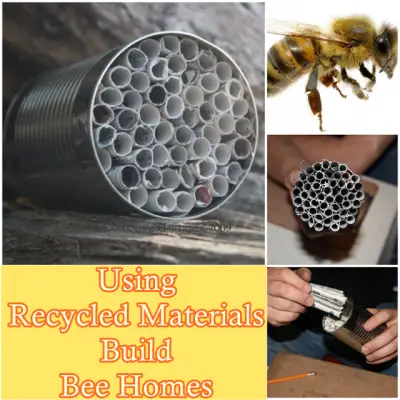 Using Recycled Materials Build Bee Homes