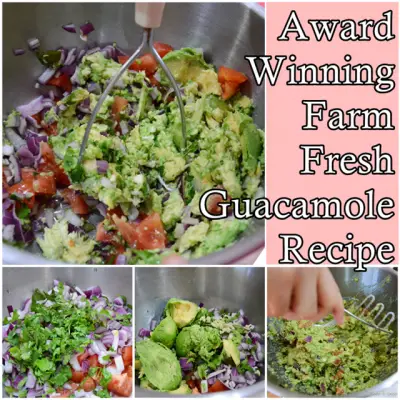 Award Winning Farm Fresh Guacamole Recipe