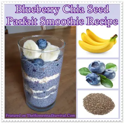 Blueberry Chia Seed Parfait Smoothie