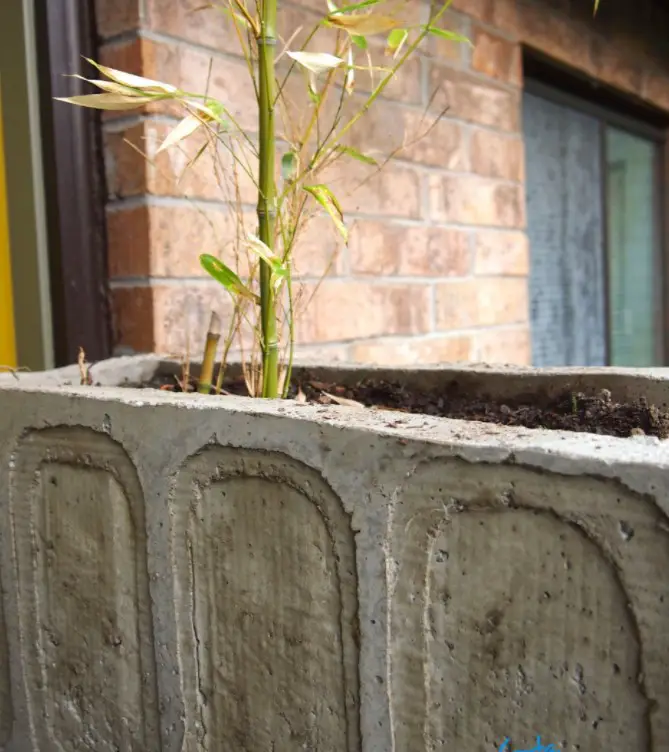 DIY concrete planter 2
