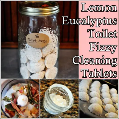 Lemon Eucalyptus Toilet Fizzy Cleaning Tablets