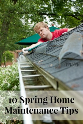 Spring Homestead Maintenance Tips