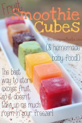 Homemade Frozen Fruit Smoothie Cubes 