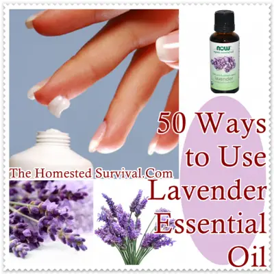 50 Ways to Use Lavender Essential Oil
