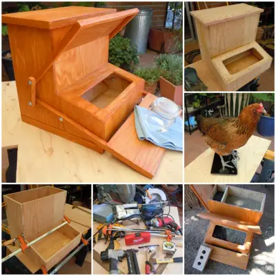 Build a Treadle Chicken Feeder Project