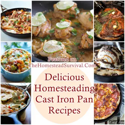 Delicious Homesteading Cast Iron Pan Recipes