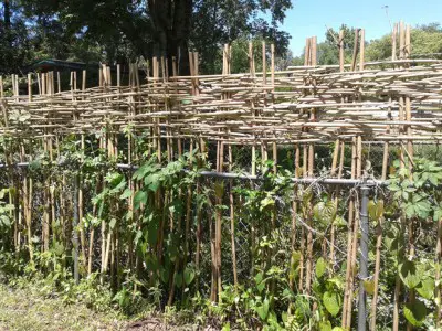 How to Weave a Bamboo Privacy Wattle Fence