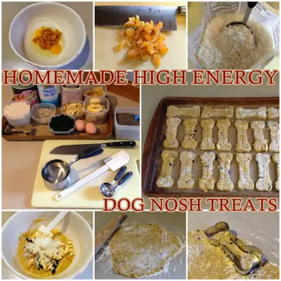 Homemade High Energy Dog Nosh Treats