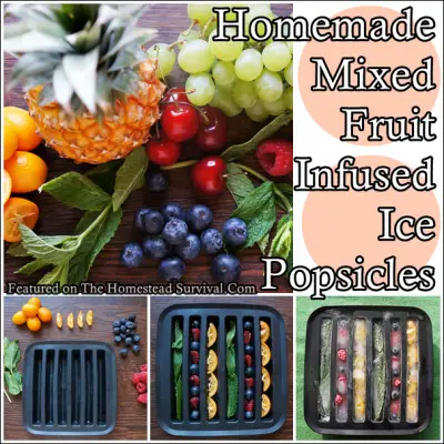 Homemade Mixed Fruit Infused Ice Popsicles