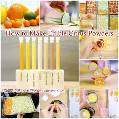 How to Make Edible Citrus Powders