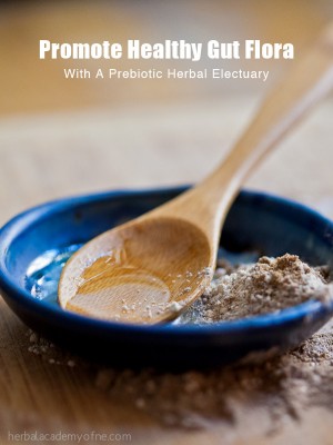 Healthy Gut Flora With A Prebiotic Herbal Remedy Recipe